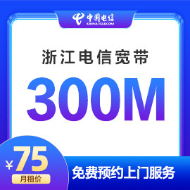 湖州电信300M宽带